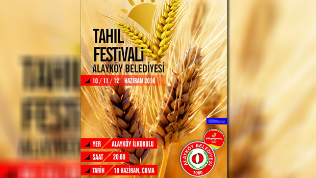 alayköy-tahıl-festivali